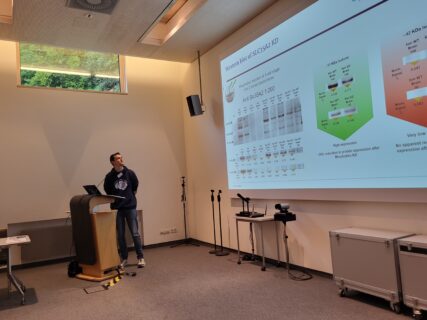 Project presentations by the (post)doctoral researchers. (Image: A. Dakkouri-Baldauf)