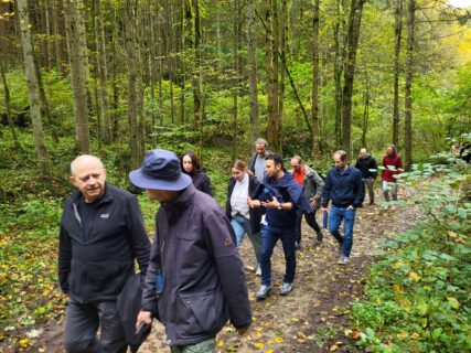 Hiking and Insighting in the beautiful Franconian Switzerland. (Image: A. Dakkouri-Baldauf)