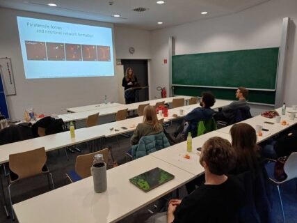 Zum Artikel "Doctoral Researchers‘ Seminar by Kristina Karandasheva (C03) and Lars Bischof (C05)"